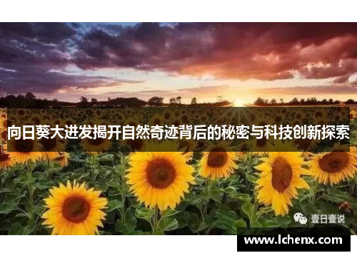 向日葵大进发揭开自然奇迹背后的秘密与科技创新探索