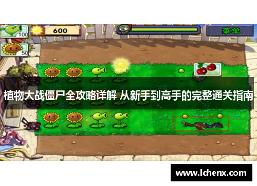 植物大战僵尸全攻略详解 从新手到高手的完整通关指南